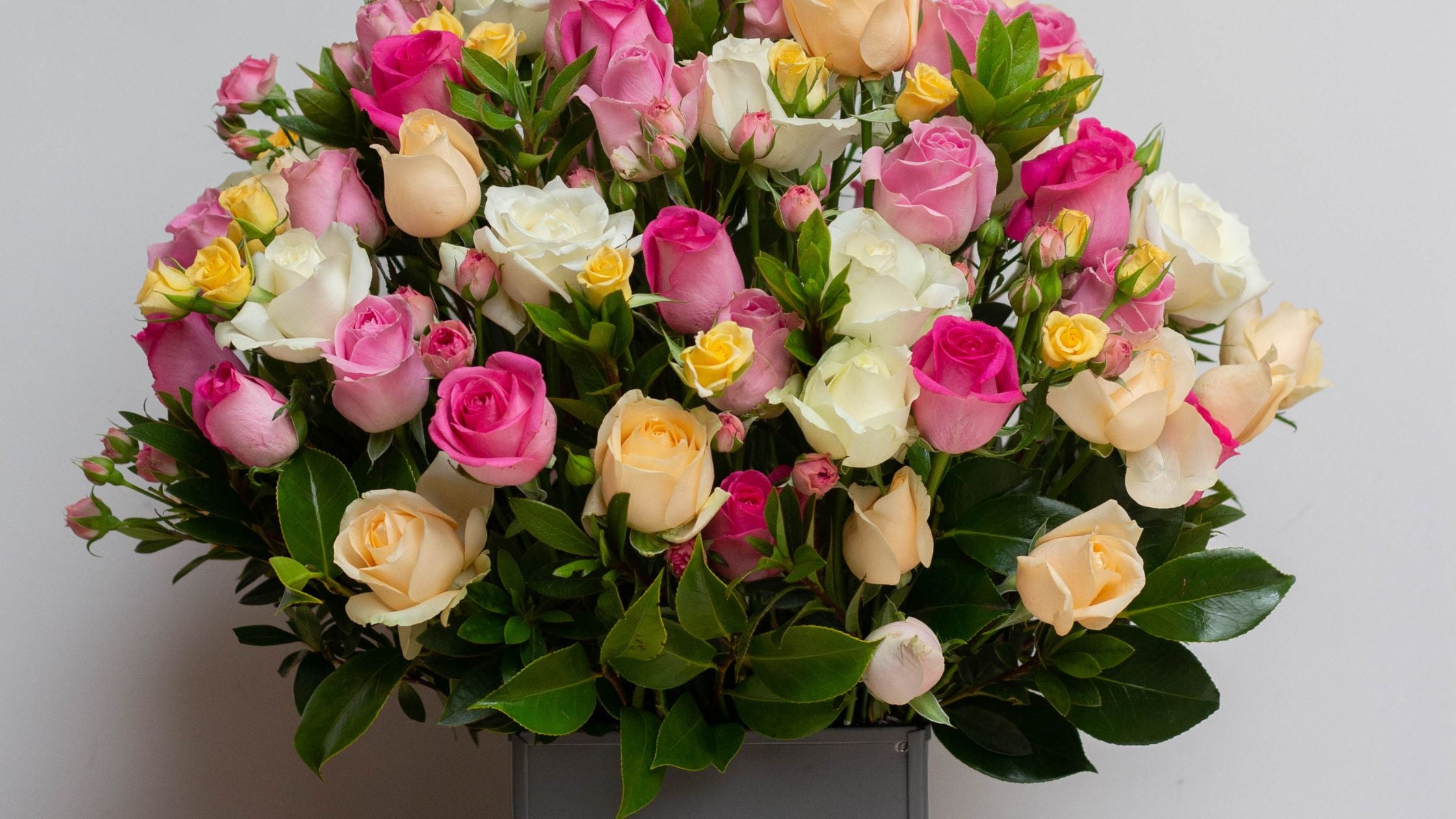 Top 5 Rose Flower Gift Ideas For Your