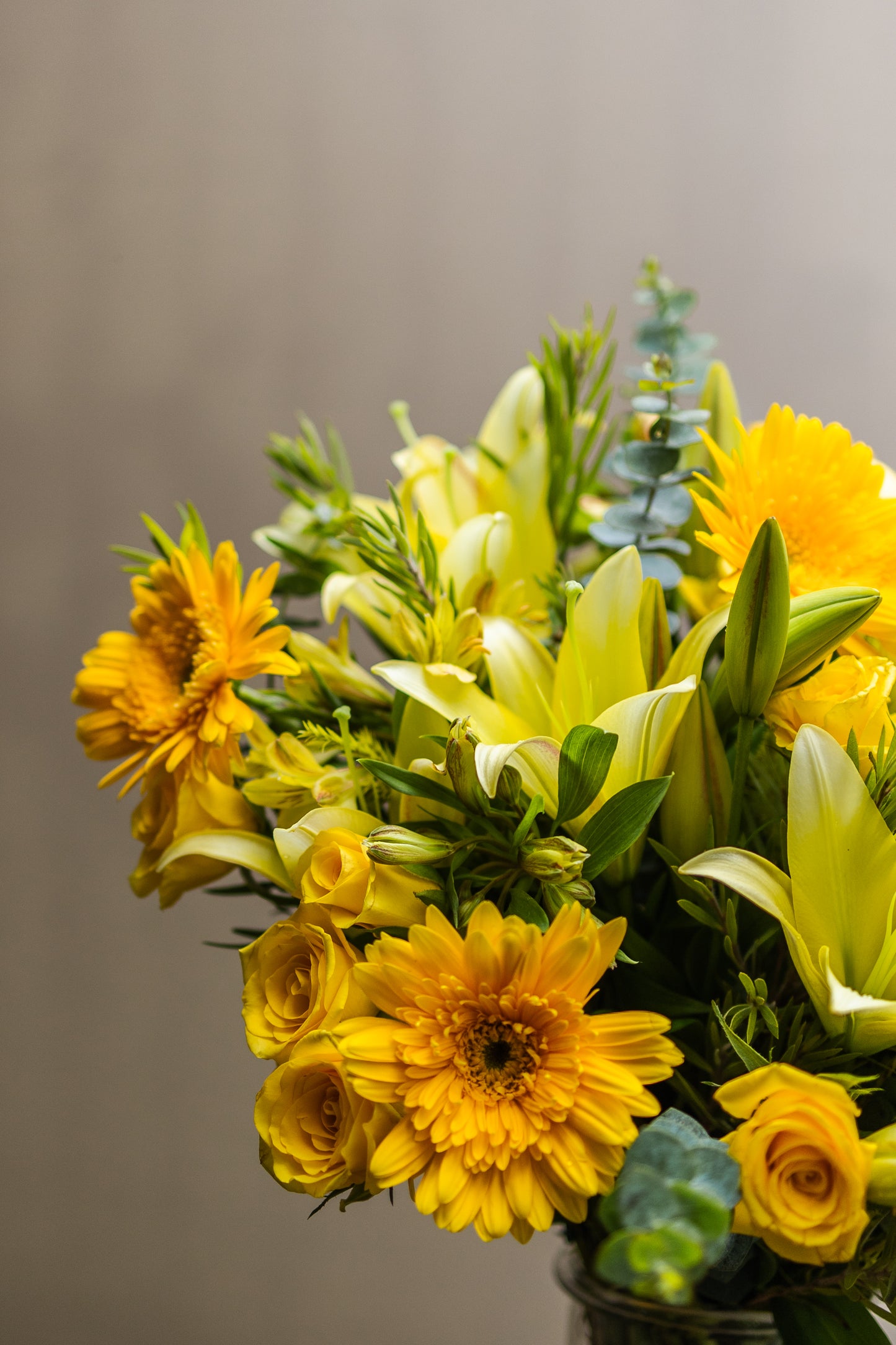 BRIGHT AND BEAUTIFUL