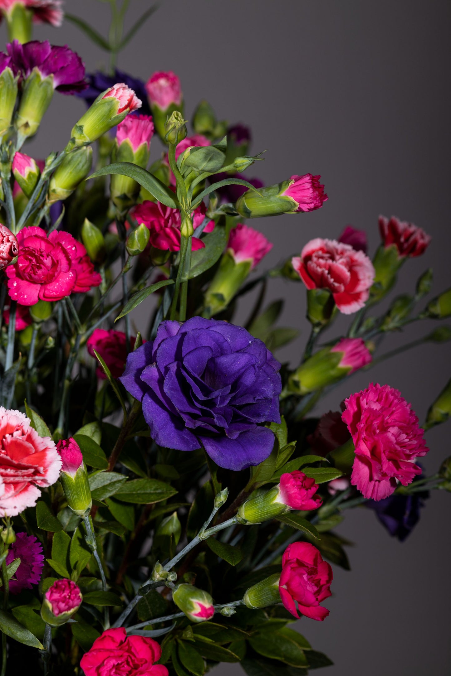 OCEAN OF JOY – Elegant Spray Carnations & Eustoma bouquet in a custom glass bell jar | Flower delivery in Bengaluru | Buy flower bouquets online Bengaluru | Same-day flower delivery Bengaluru | Online florist Bengaluru | Order flowers online Bengaluru | Luxury flower bouquet in Bengaluru