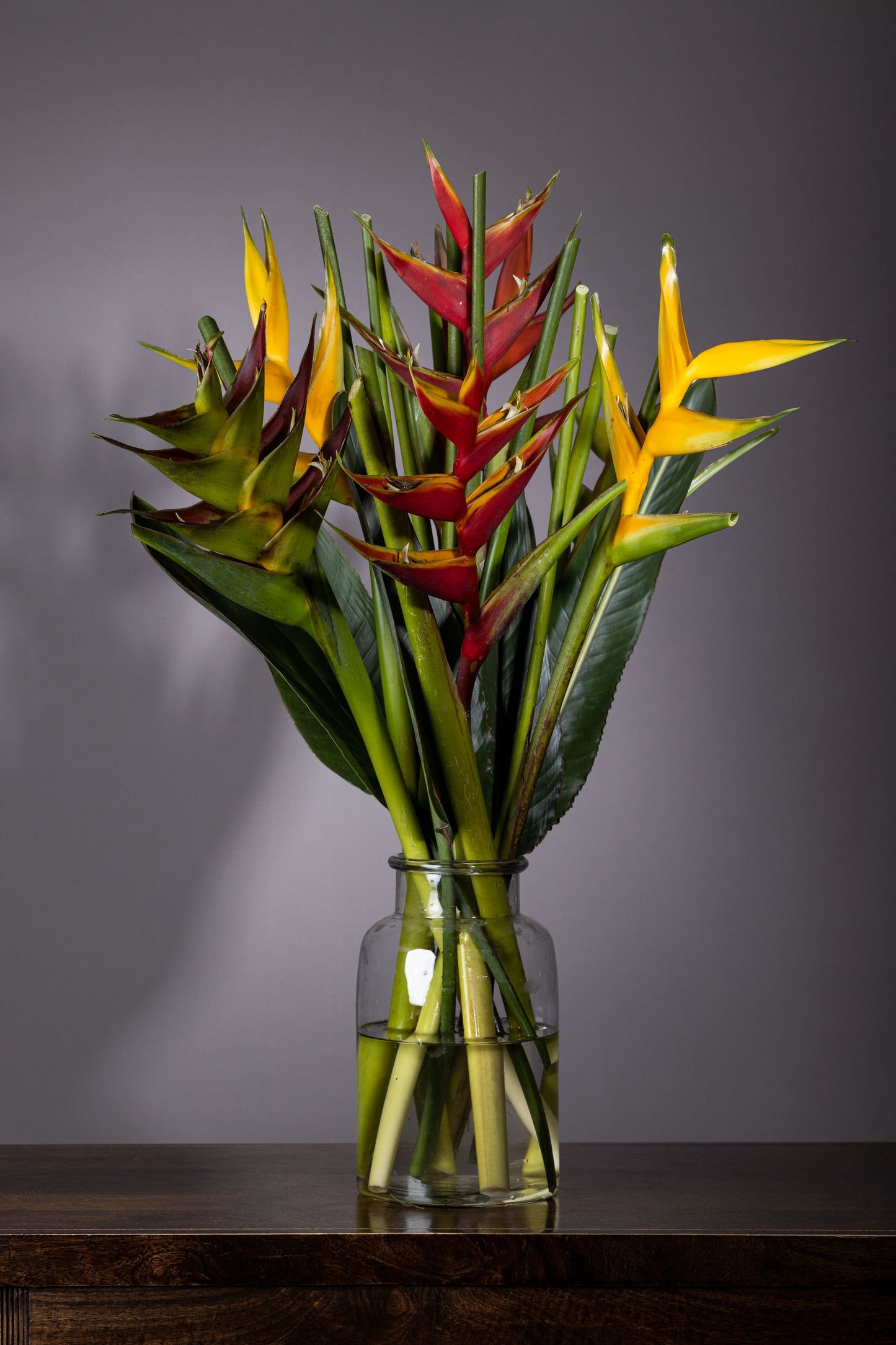 TROPICAL BONANZA – Stunning Heliconia flower bouquet in a glass biscuit jar | Flower delivery in Bengaluru | Buy flower bouquets online Bengaluru | Same-day flower delivery Bengaluru | Online florist Bengaluru | Order flowers online Bengaluru | Luxury flower bouquet in Bengaluru