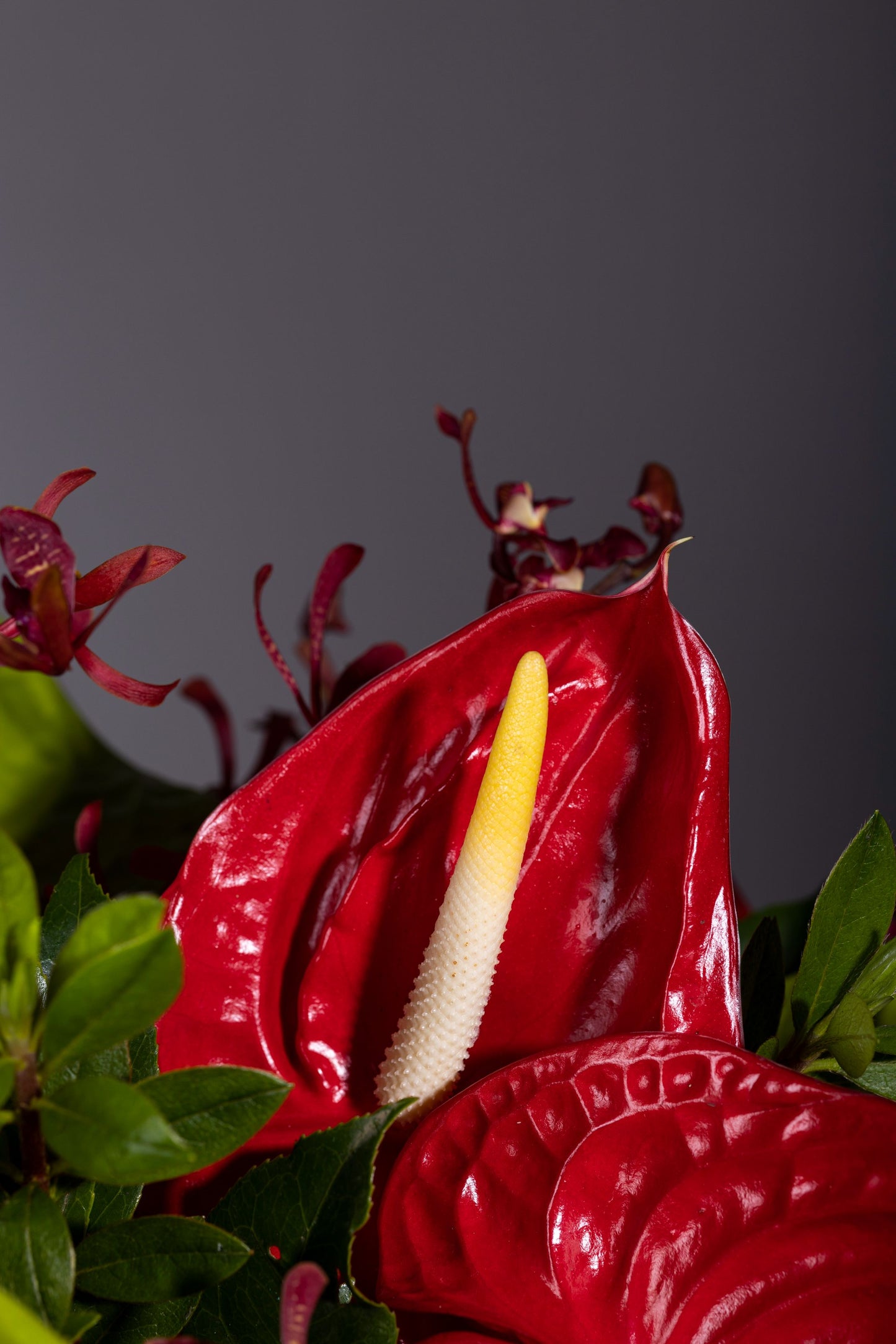 Hearts of Love - Beautiful centerpiece arrangement with Red and Green Anthurium flowers and Red Orchids in a long glass container | Flower delivery in Bengaluru | Buy flower bouquets online Bengaluru | Same-day flower delivery Bengaluru | Online florist Bengaluru | Order flowers online Bengaluru | Luxury flower bouquet in Bengaluru