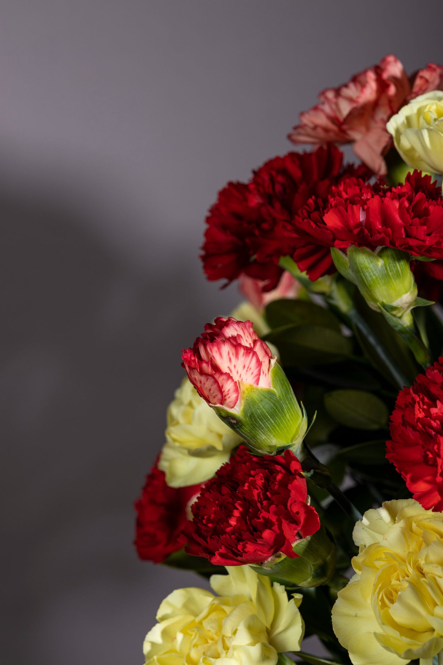 WIZARDRY | Red and yellow Carnations bouquet in white powder-coated tin – Luxury flower bouquet in Bengaluru – Flower delivery in Bengaluru – Buy flower bouquets online Bengaluru – Same-day flower delivery Bengaluru – Online florist Bengaluru – Order flowers online Bengaluru