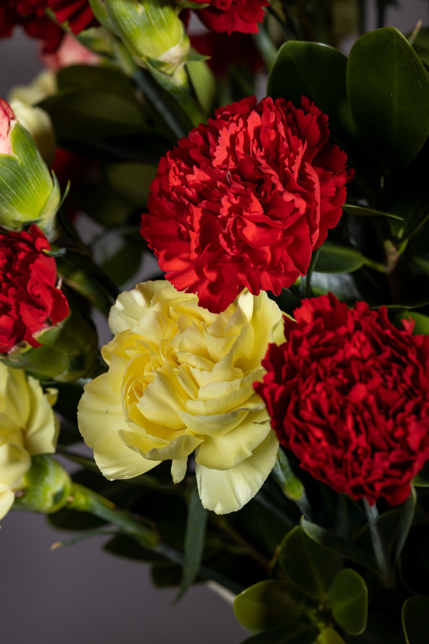 WIZARDRY | Red and yellow Carnations bouquet in white powder-coated tin – Luxury flower bouquet in Bengaluru – Flower delivery in Bengaluru – Buy flower bouquets online Bengaluru – Same-day flower delivery Bengaluru – Online florist Bengaluru – Order flowers online Bengaluru