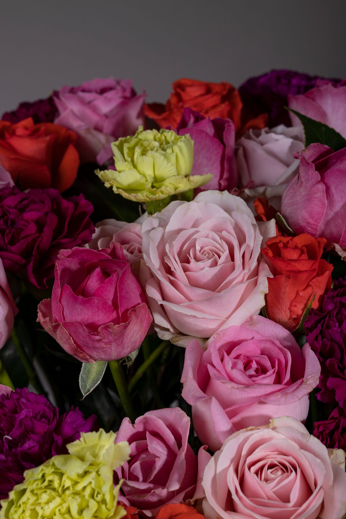 MIRACLE – A custom powder-coated can showcasing autumnal beauty with a unique combination of Carnation stems and exotic foliage. Perfect for birthdays, anniversaries, thank you gifts, congratulations, and new baby celebrations. Flower delivery in Bengaluru | Buy flower bouquets online Bengaluru | Same-day flower delivery Bengaluru | Online florist Bengaluru | Order flowers online Bengaluru | Luxury flower bouquet in Bengaluru