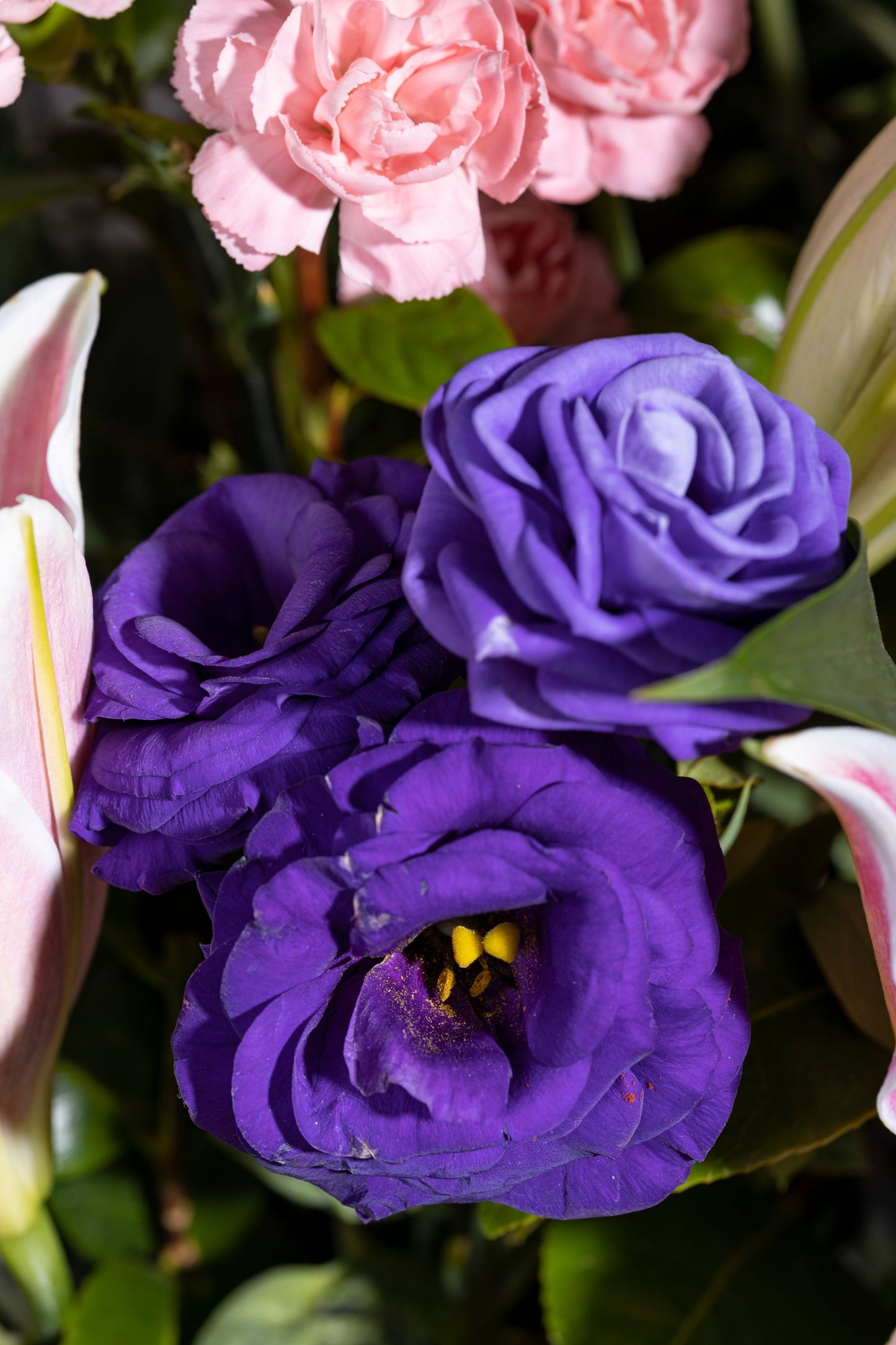 Romantic – A stunning custom keepsake hat box filled with fragrant Pink Oriental Lilies and elegant Purple Lisianthus blooms, complemented by lush foliage. The perfect gift for birthdays, anniversaries, thank you gestures, congratulations, and new baby celebrations
