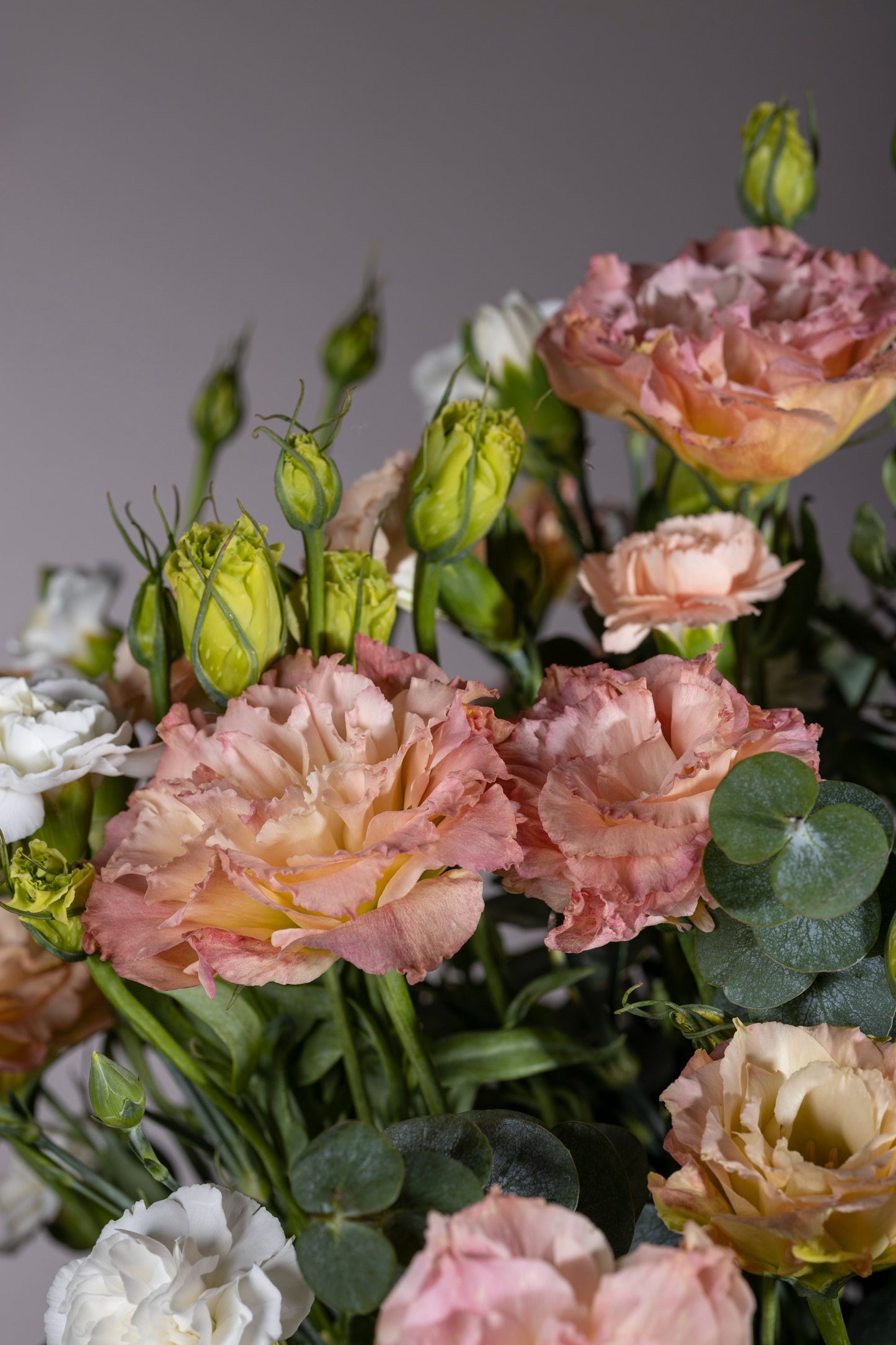 Peaches and Cream – A charming bell jar arrangement featuring delicate Peach Lisianthus flowers alongside elegant White Carnations, complemented by lush foliage. A perfect gift for birthdays, anniversaries, thank you gestures, congratulations, and new baby celebrations