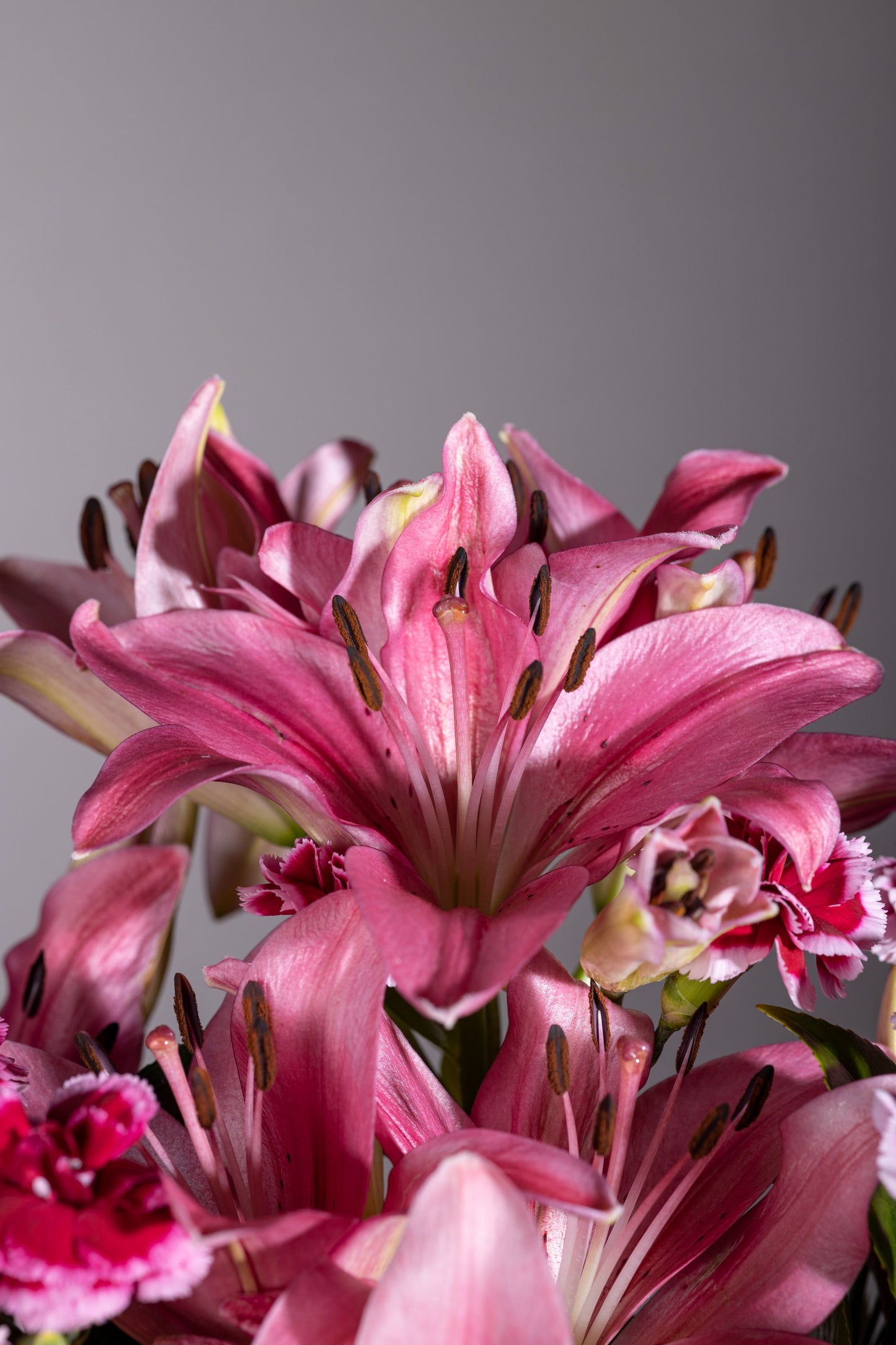 Luxury Magenta Lily and Spray Carnation flower bouquet in a signature keepsake box. Perfect for birthdays, anniversaries, thank you gifts, congratulations, and new baby celebrations. 🌸 Same-day flower delivery in Bengaluru. Order flowers online from the best florist in Bengaluru