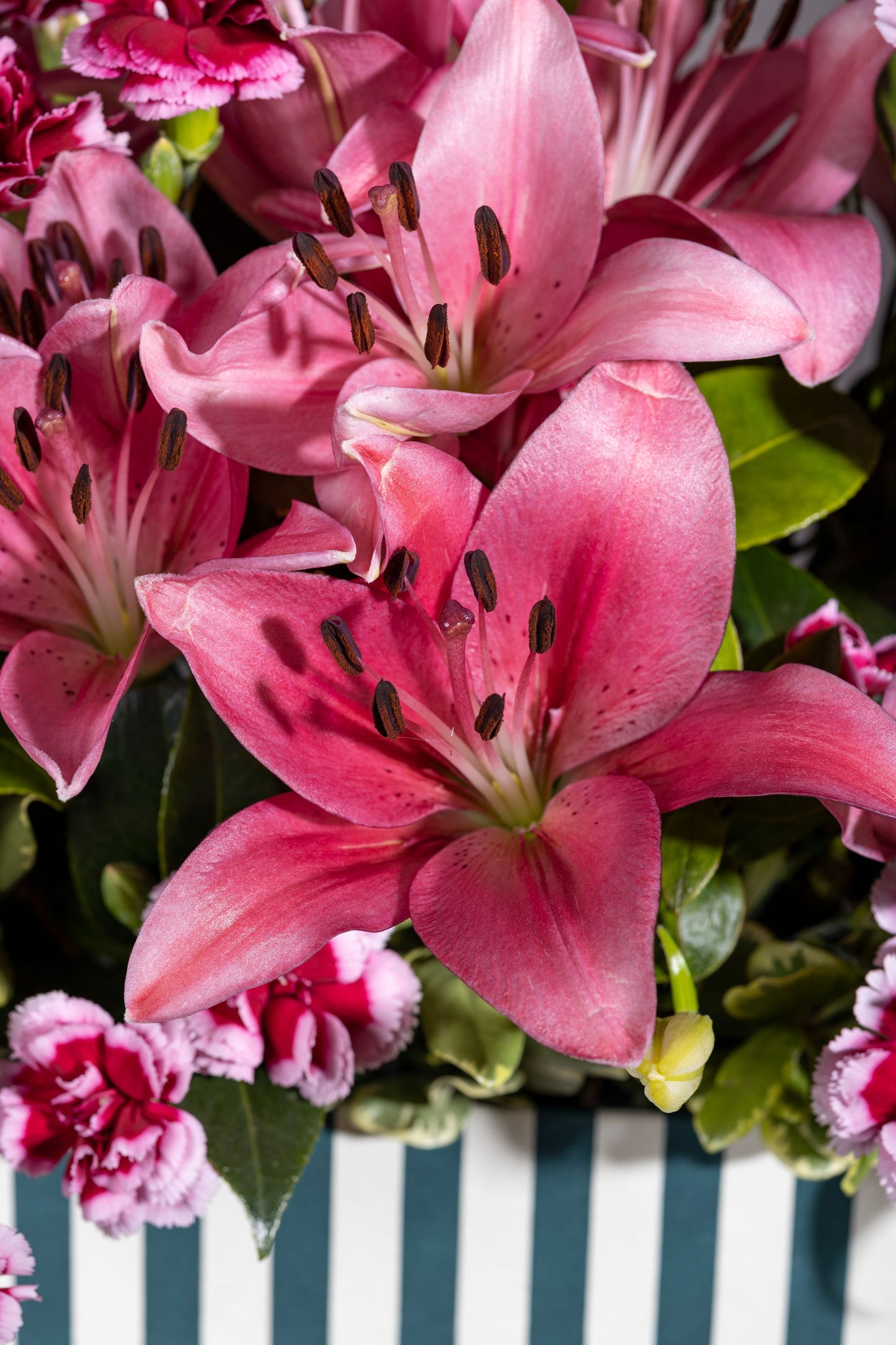 Luxury Magenta Lily and Spray Carnation flower bouquet in a signature keepsake box. Perfect for birthdays, anniversaries, thank you gifts, congratulations, and new baby celebrations. 🌸 Same-day flower delivery in Bengaluru. Order flowers online from the best florist in Bengaluru