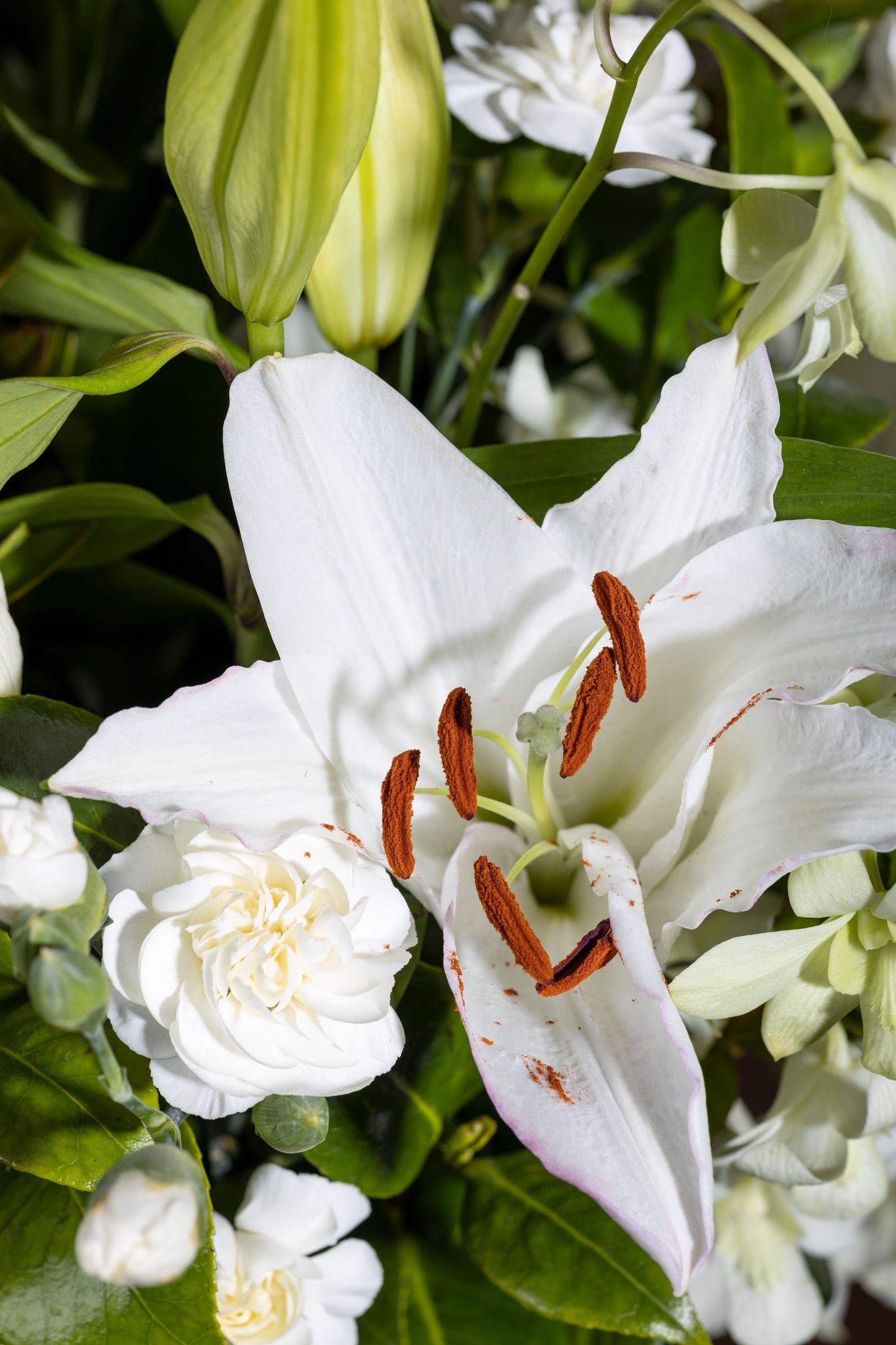 PURE JOY bouquet with white Oriental Lilies and Pure White Orchid stems in a custom keepsake box – Flower delivery in Bengaluru, Buy flower bouquets online in Bengaluru, Same-day flower delivery Bengaluru, Online florist Bengaluru, Order flowers online Bengaluru, Luxury flower bouquet in Bengaluru