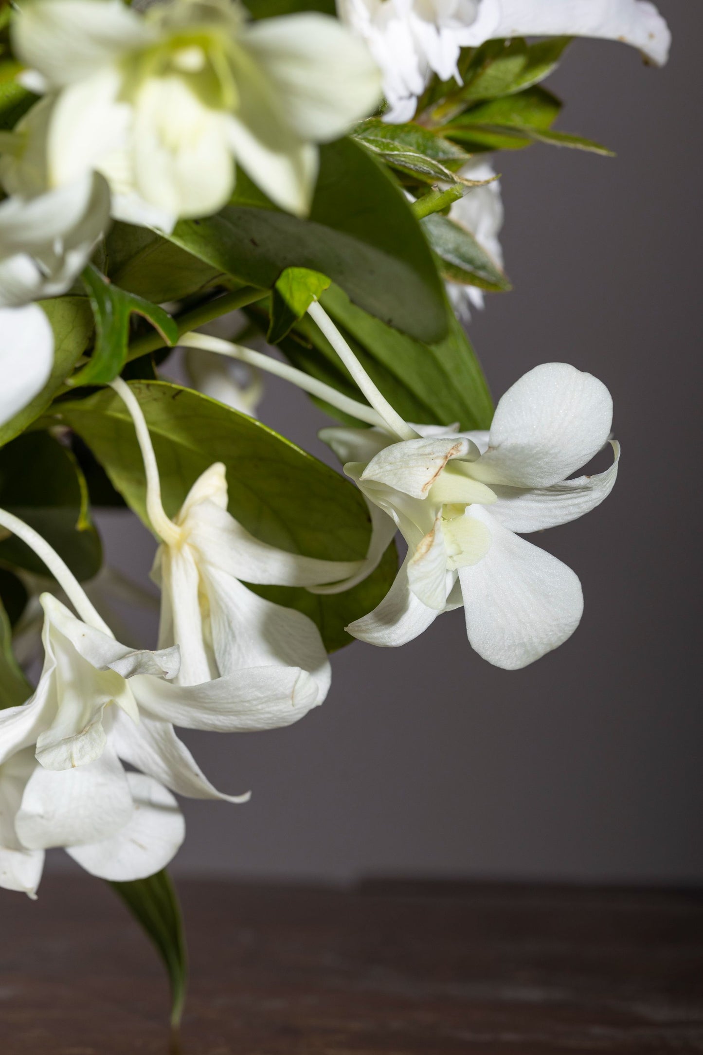 PURE JOY bouquet with white Oriental Lilies and Pure White Orchid stems in a custom keepsake box – Flower delivery in Bengaluru, Buy flower bouquets online in Bengaluru, Same-day flower delivery Bengaluru, Online florist Bengaluru, Order flowers online Bengaluru, Luxury flower bouquet in Bengaluru