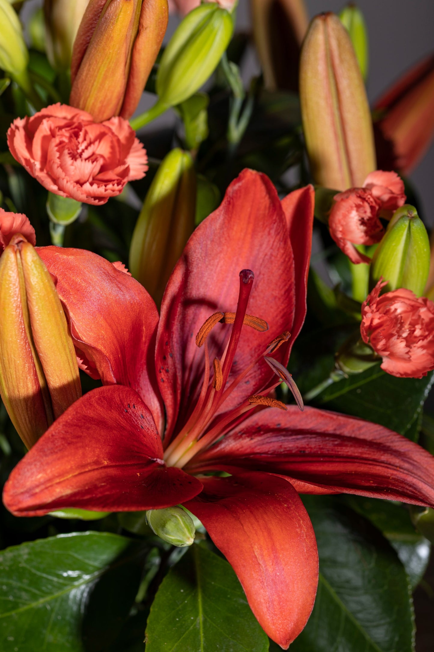 Twilight – A stunning custom keepsake hat box featuring a delightful mix of orange lilies, red carnations, and green chrysanthemum blossoms. A perfect floral gift for birthdays, anniversaries, thank you gestures, congratulations, and new baby celebrations