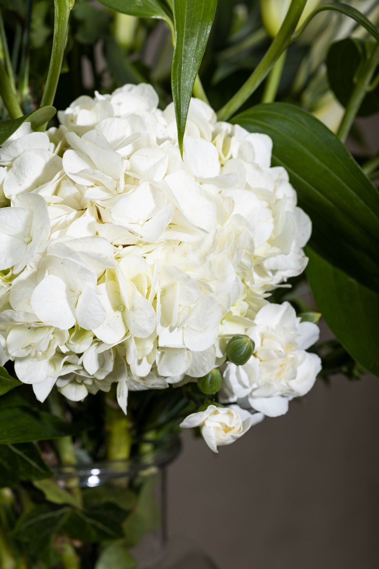 Nostalgia - Elegant glass vase with White Oriental Lilies, Disbuds White Chrysanthemum, and White Spray Carnation flowers | Flower delivery in Bengaluru | Buy flower bouquets online Bengaluru | Same-day flower delivery Bengaluru | Online florist Bengaluru | Order flowers online Bengaluru | Luxury flower bouquet in Bengaluru