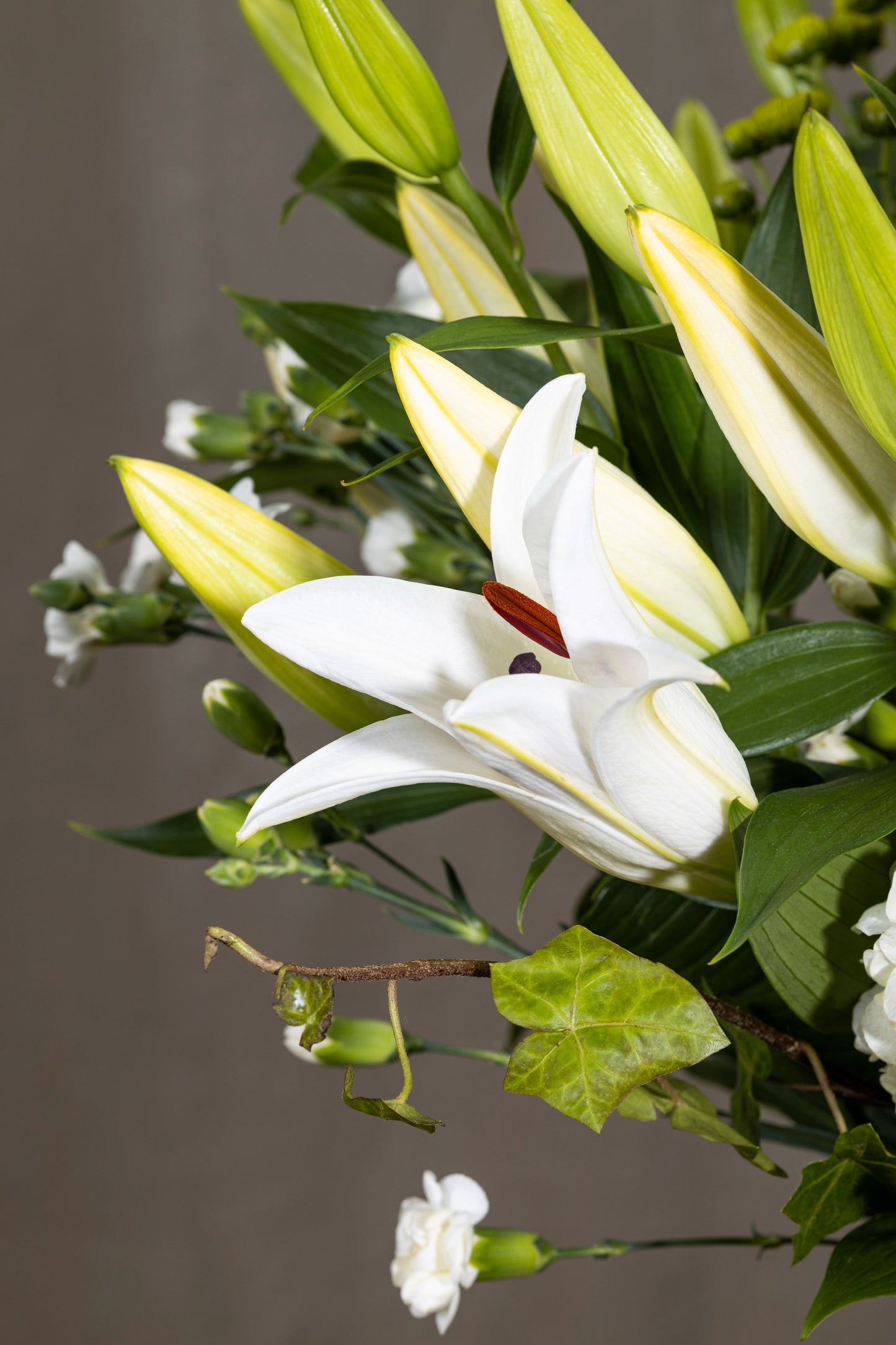 Nostalgia - Elegant glass vase with White Oriental Lilies, Disbuds White Chrysanthemum, and White Spray Carnation flowers | Flower delivery in Bengaluru | Buy flower bouquets online Bengaluru | Same-day flower delivery Bengaluru | Online florist Bengaluru | Order flowers online Bengaluru | Luxury flower bouquet in Bengaluru