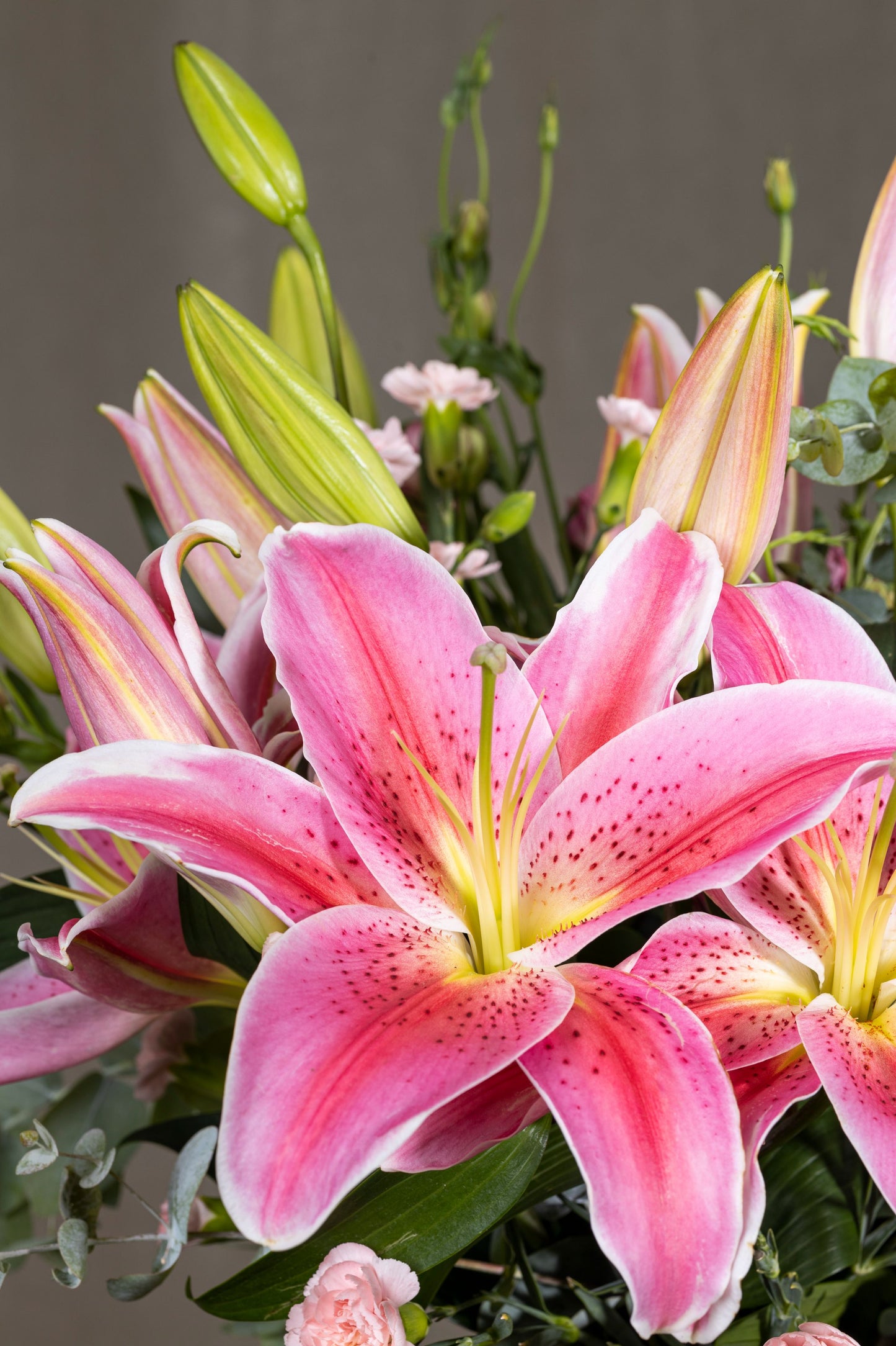 Pink Charming - Elegant glass biscuit jar arrangement with pink Oriental Lilies, aromatic silver dollar eucalyptus sprigs, and Spray Carnation flowers | Flower delivery in Bengaluru | Buy flower bouquets online Bengaluru | Same-day flower delivery Bengaluru | Online florist Bengaluru | Order flowers online Bengaluru | Luxury flower bouquet in Bengaluru