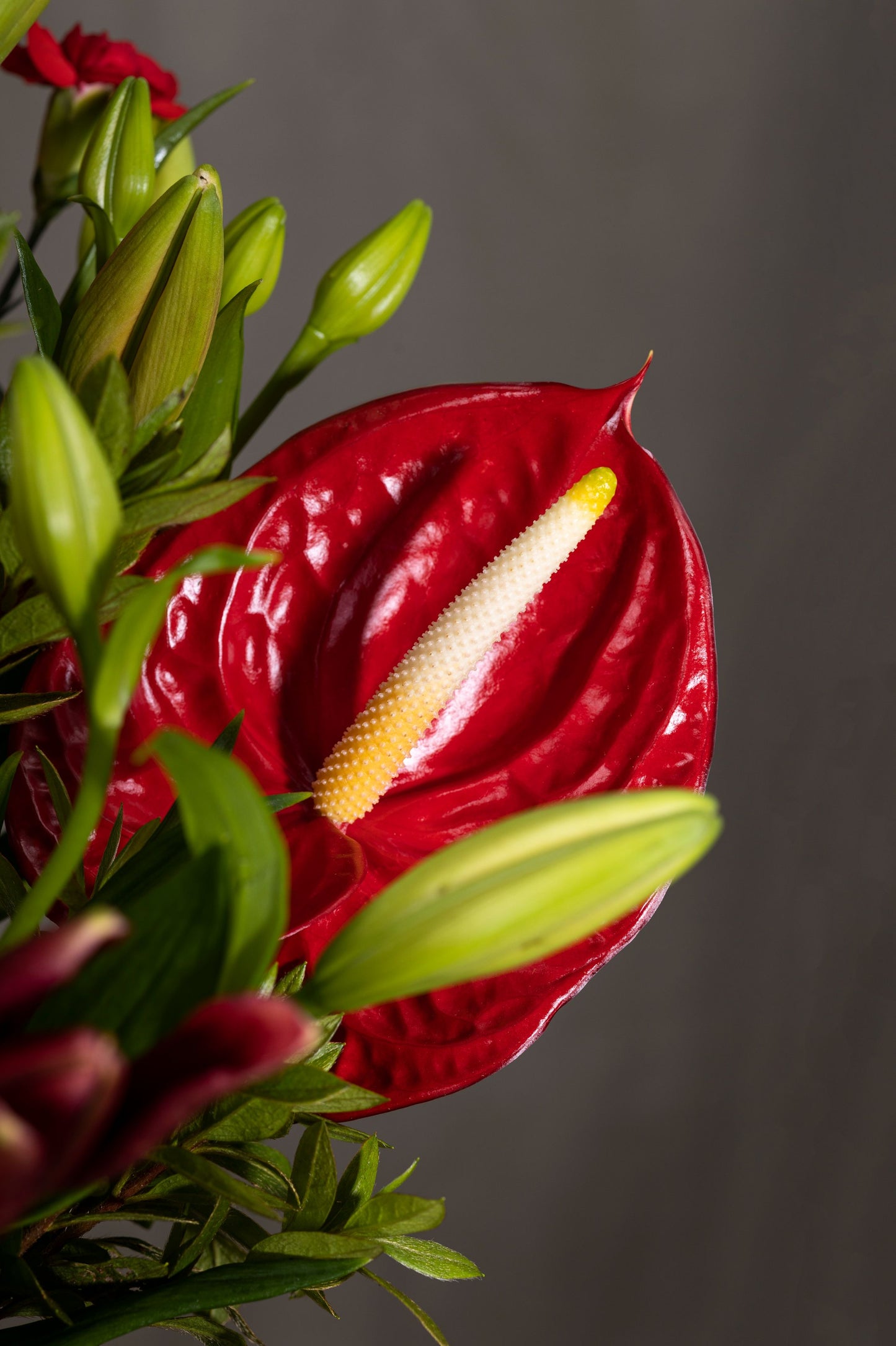 "Red in Rhapsody - Elegant glass bell jar with Red Anthuriums, Red Lilies, and Red Spray Carnations in a stunning red arrangement | Flower delivery in Bengaluru | Buy flower bouquets online Bengaluru | Same-day flower delivery Bengaluru | Online florist Bengaluru | Order flowers online Bengaluru | Luxury flower bouquet in Bengaluru