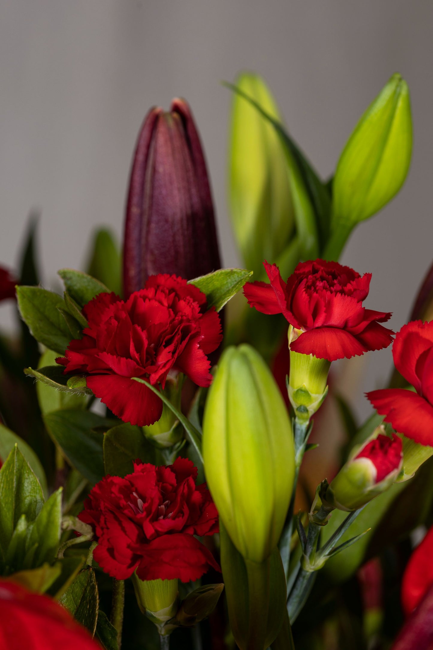 "Red in Rhapsody - Elegant glass bell jar with Red Anthuriums, Red Lilies, and Red Spray Carnations in a stunning red arrangement | Flower delivery in Bengaluru | Buy flower bouquets online Bengaluru | Same-day flower delivery Bengaluru | Online florist Bengaluru | Order flowers online Bengaluru | Luxury flower bouquet in Bengaluru