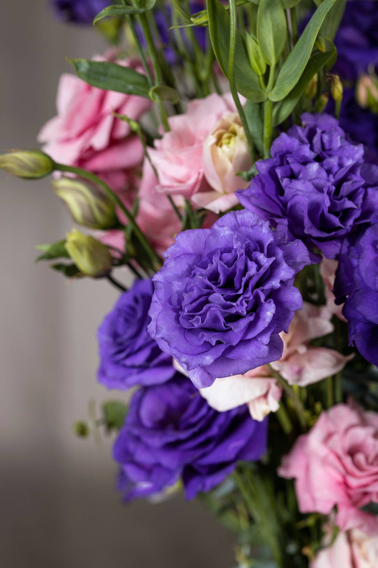DIVINE EUSTOMA - A divine and uplifting floral arrangement of enduring Pink and Purple Lisianthus flowers in a tall glass vase. Perfect for Birthdays, Anniversaries, Thank You, Congratulations, New Baby, and Condolence. Flower delivery in Bengaluru, Buy flower bouquets online Bengaluru, Same-day flower delivery Bengaluru, Online florist Bengaluru, Order flowers online Bengaluru, Luxury flower bouquet in Bengaluru