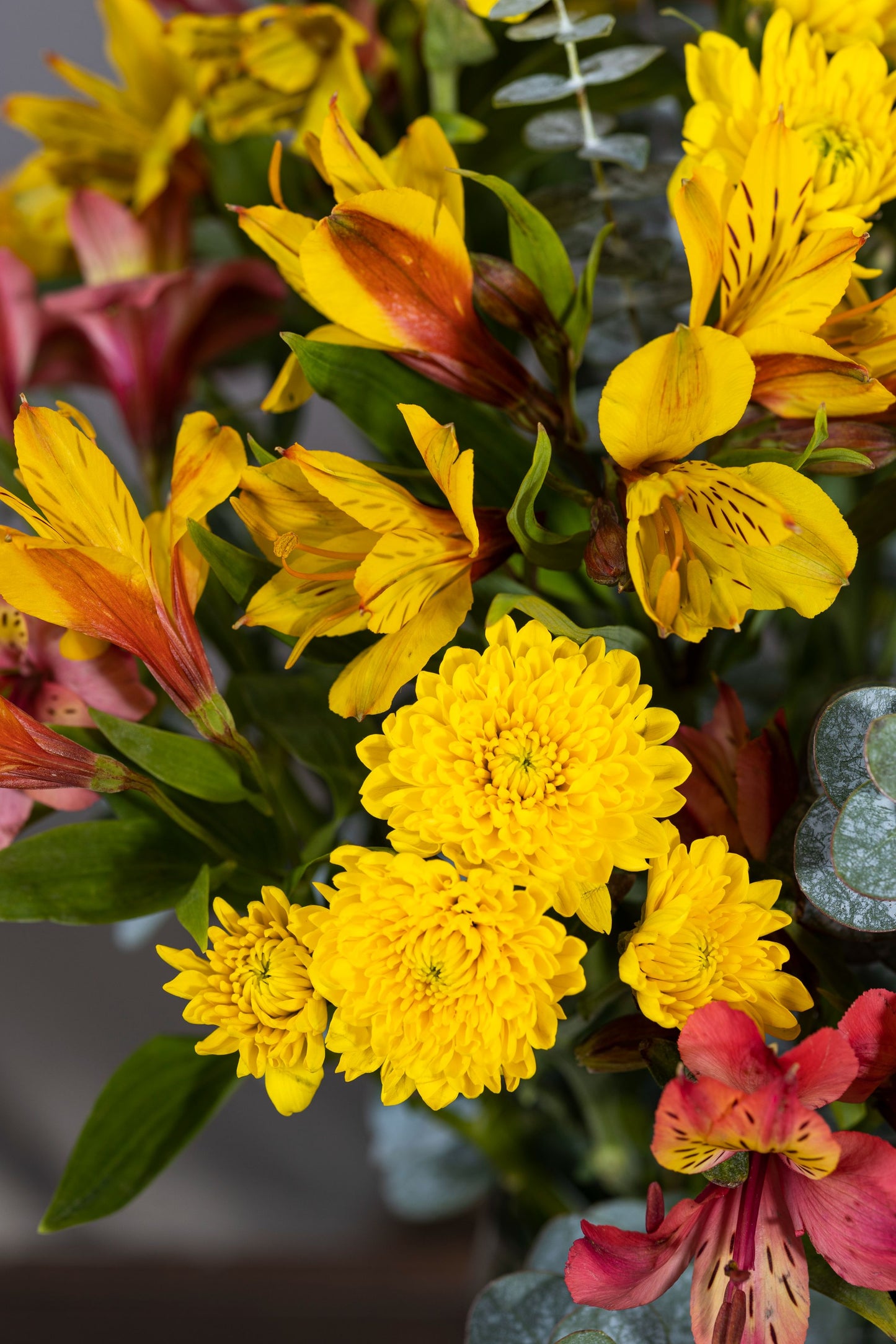 AUTUMN EMBRACE - A stylish leaf-lined glass vase beautifully arranged with vibrant Yellow Chrysanthemums and Alstroemeria, capturing the warm essence of autumn. Perfect for Birthdays, Anniversaries, Thank You, Congratulations, and New Baby. Flower delivery in Bengaluru, Buy flower bouquets online in Bengaluru, Same-day flower delivery Bengaluru, Online florist Bengaluru, Order flowers online Bengaluru, Luxury flower bouquet in Bengaluru