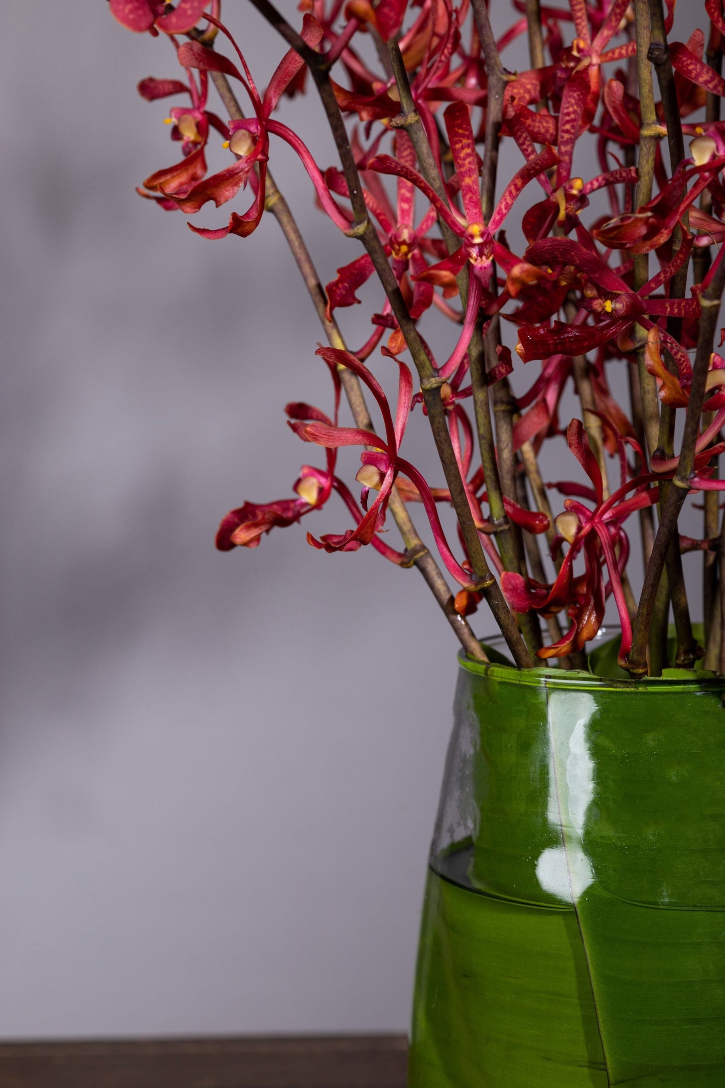 Charming – Best bouquet flowers in Bengaluru featuring delicate sprigs of fresh spider orchids in a beautiful vase, spreading joy and elegance with their farm-nurtured beauty