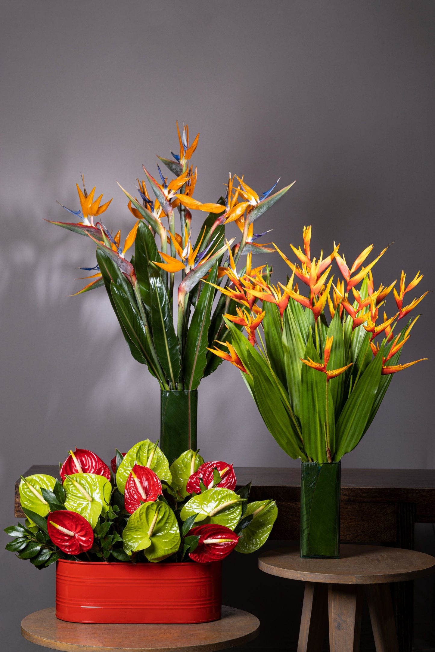 Ensemble of Tropics | ohanafineflowers: Best bouquet flowers in Bengaluru featuring a stunning tropical arrangement of Bird of Paradise, Red & Green Anthurium, and Baby Heliconia in two glass containers and a metal powder-coated tin, perfect for Birthdays, Anniversaries, Thank You, and Congratulations gifts