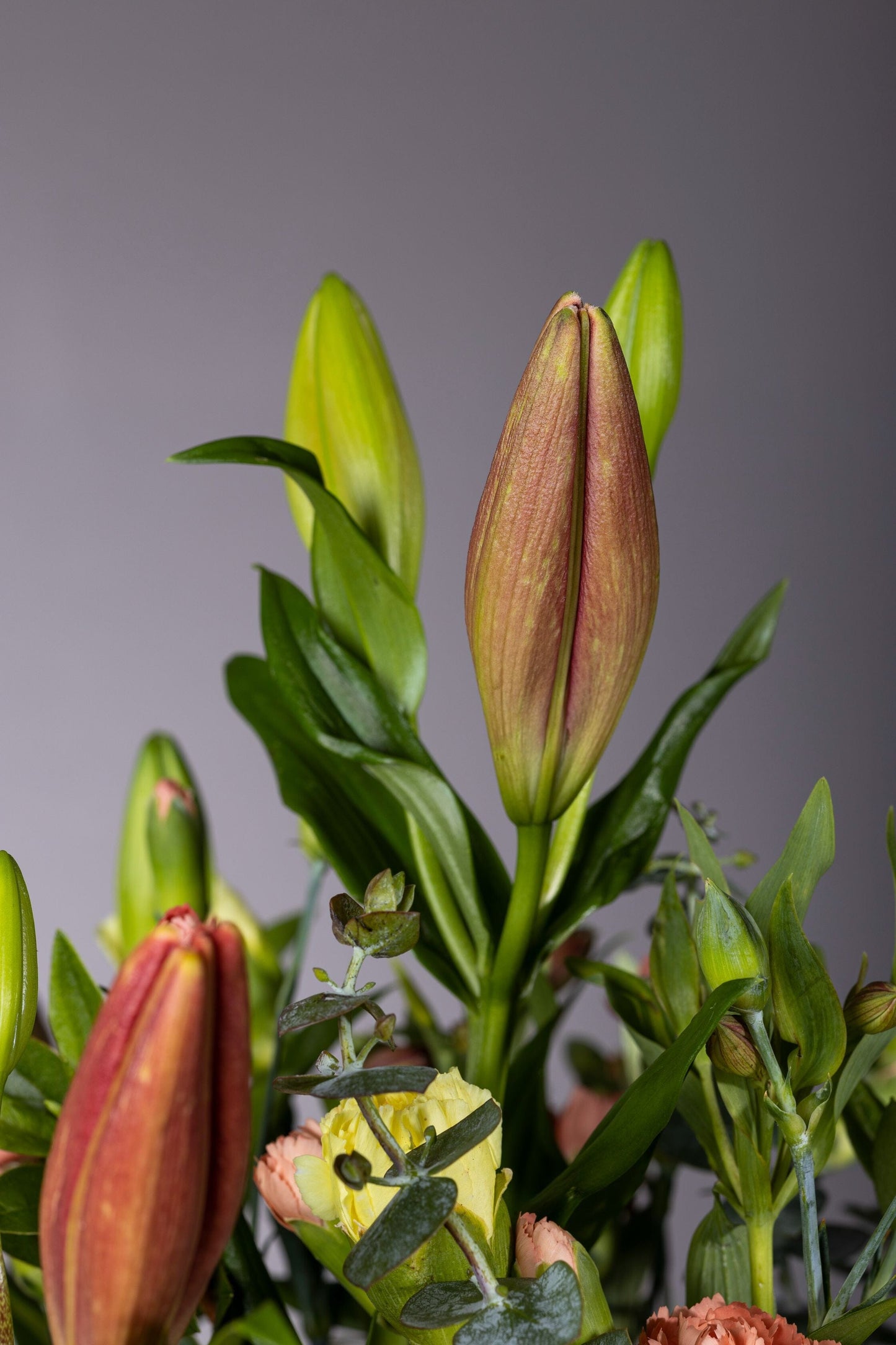 GRACIOUS | Best bouquet flowers in Bengaluru ohanafineflowers: Same-day delivery featuring lush Asiatic Red Lilies and baby Chrysanthemum flowers in a custom glass container, perfect for Birthdays, Anniversaries, Thank You, and Congratulations gifts