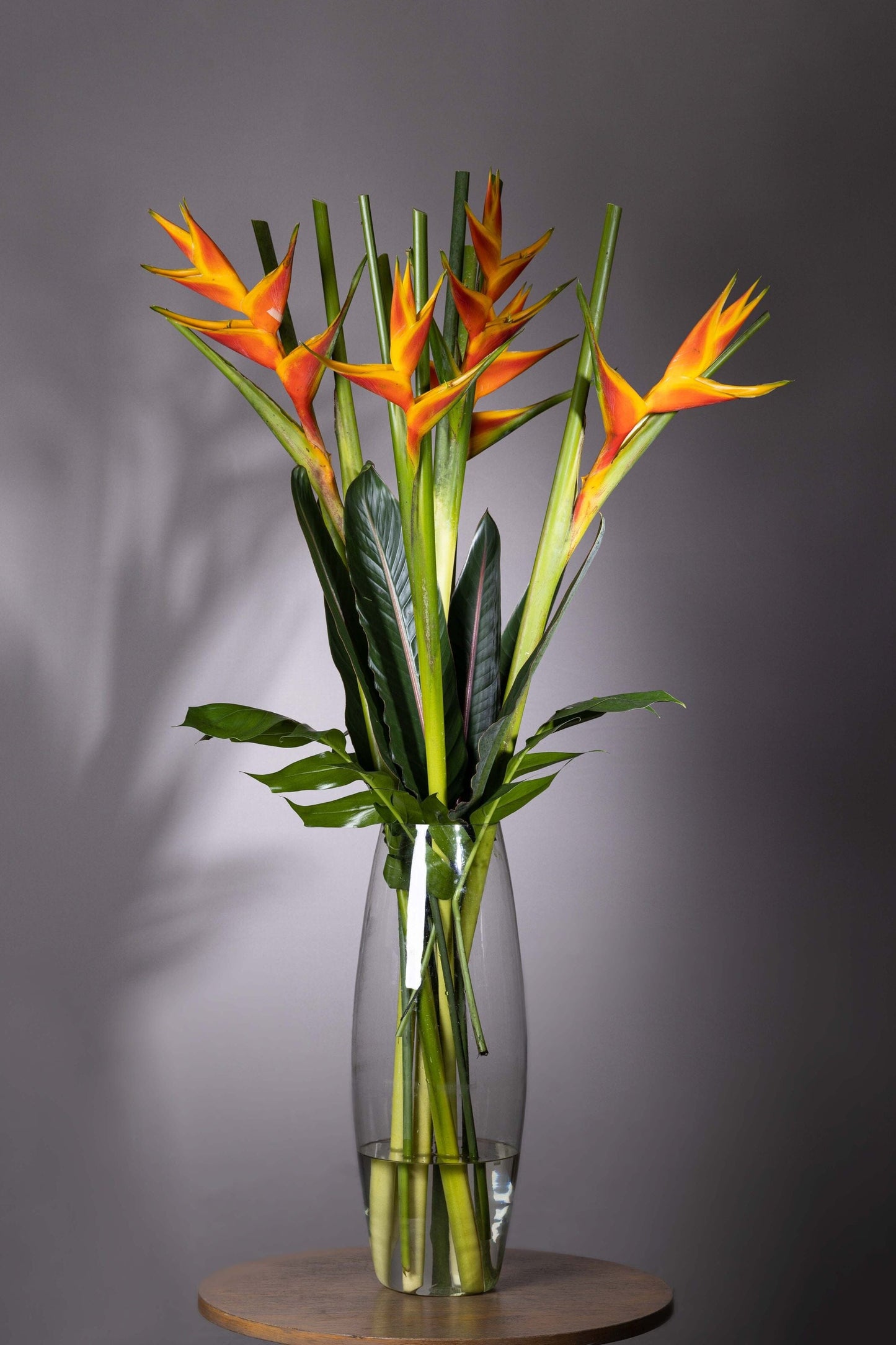 STATELY PRESENCE | ohanafineflowers: Best bouquet flowers in Bengaluru with same-day delivery, featuring a tall oval glass vase with majestic Heliconia flower stems and lush foliage, perfect for Birthdays, Anniversaries, Thank You, and Congratulations gifts
