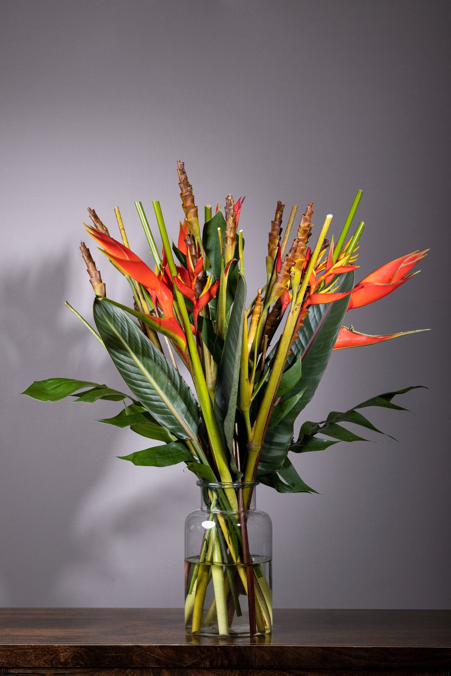TROPICAL BEAUTY | Best bouquet flowers in Bengaluru, ohanafineflowers: Same-day delivery featuring majestic Heliconia stems and Calatheas in a beautiful biscuit jar, complemented by lush foliage, perfect for Birthdays, Anniversaries, Thank You, and Congratulations gifts